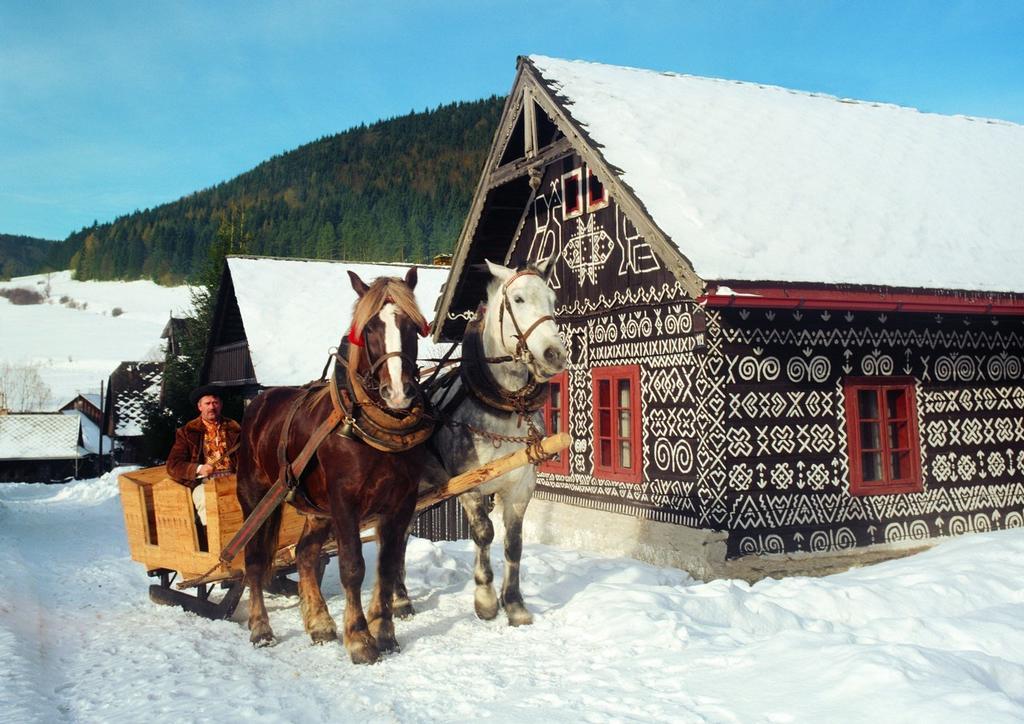 Penzion Javorina Čičmany Exteriér fotografie