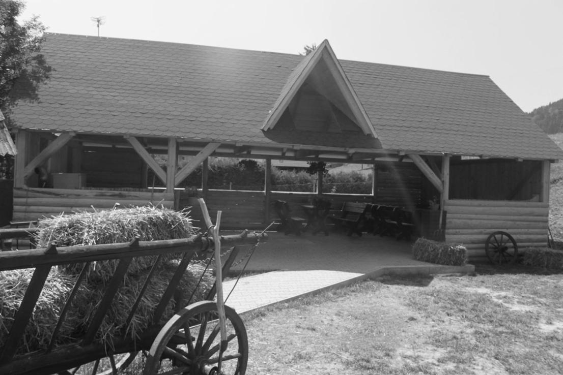 Penzion Javorina Čičmany Exteriér fotografie