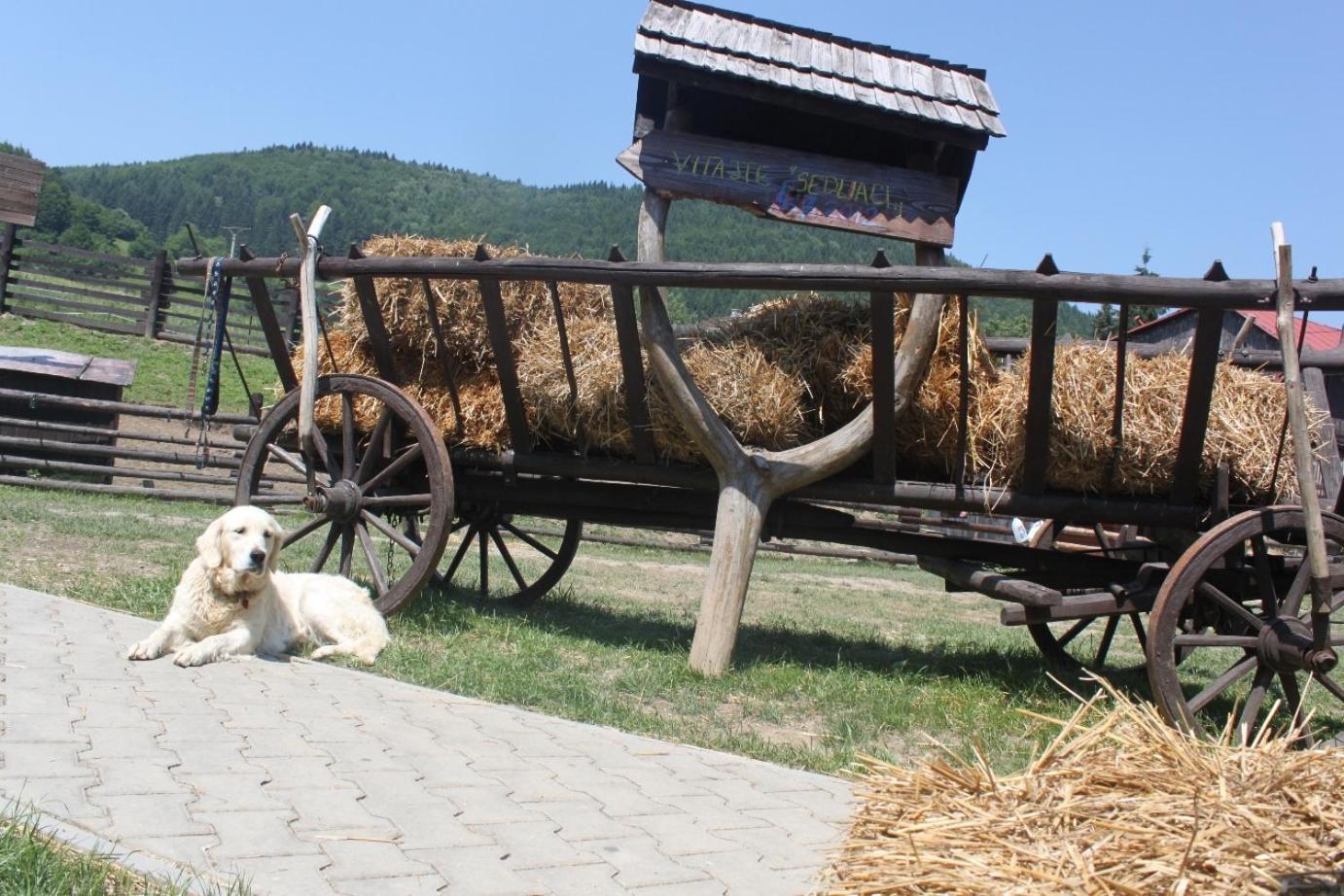 Penzion Javorina Čičmany Exteriér fotografie