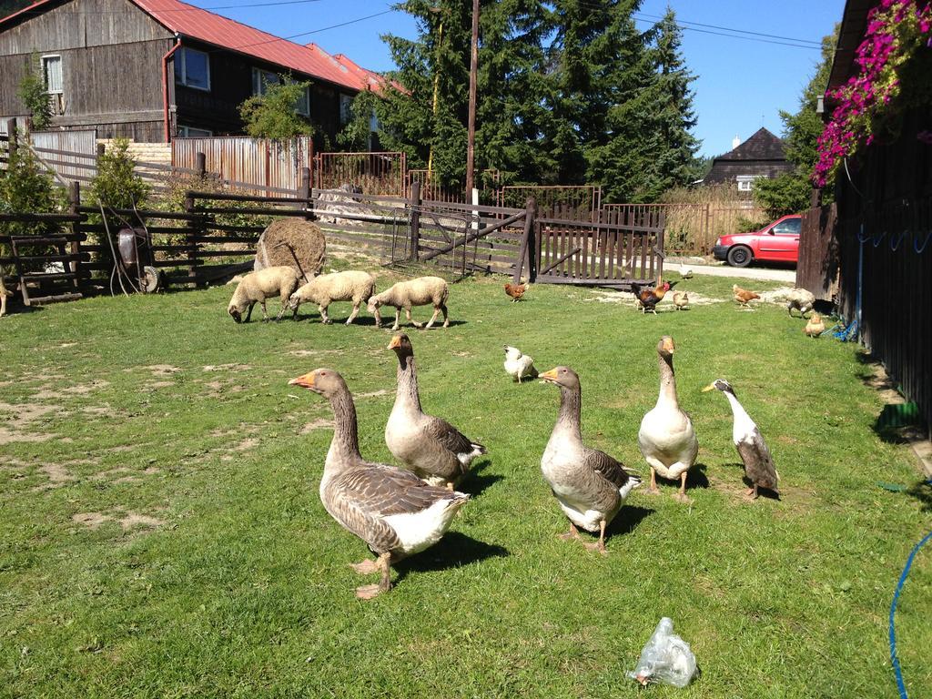 Penzion Javorina Čičmany Exteriér fotografie